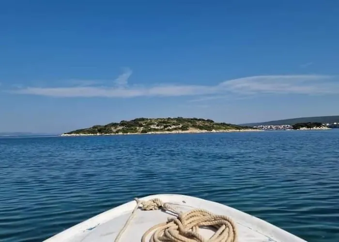 Dragica P A1