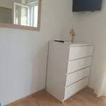 Dragica P A1 Apartment Pasman