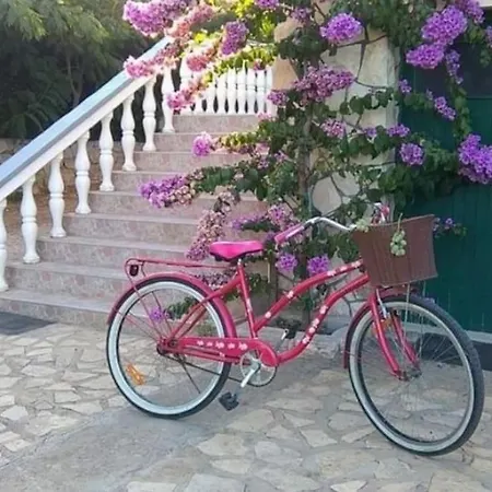 Dragica P A1 * Pašman