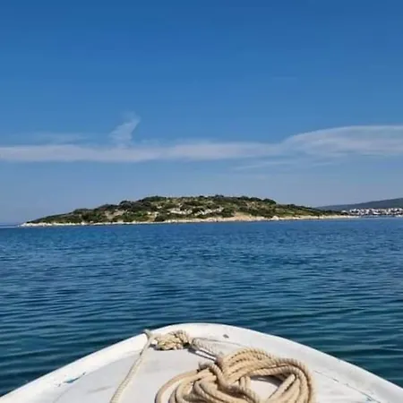 Dragica P A1
