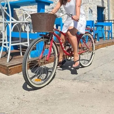 Dragica P A1