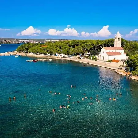 Dragica P A1 *