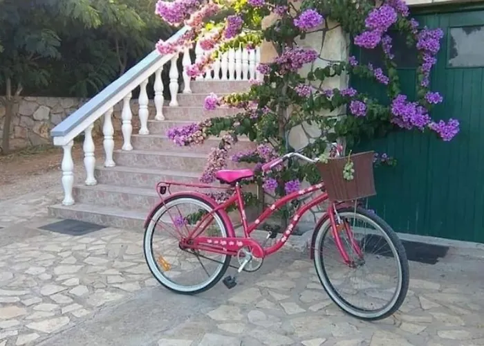 Dragica P A1 * Pašman